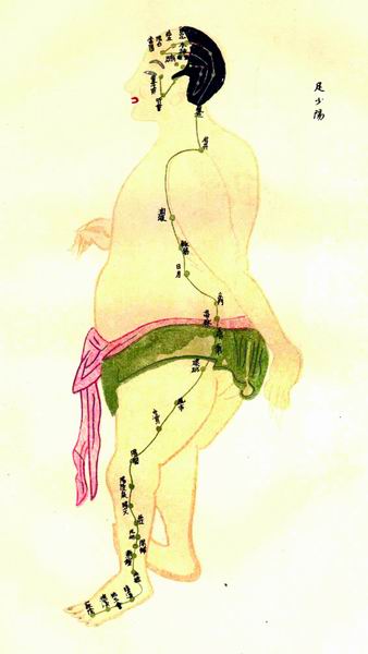 《经络图说》彩绘十四经穴图