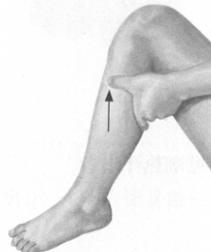 更年期综合征按摩部位图解