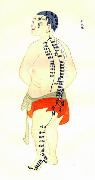 《经络图说》彩绘十四经穴图