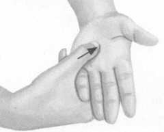 前列腺疾病按摩部位图解