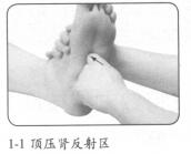 便秘按摩部位图解