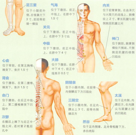 遗精艾灸哪个部位图解