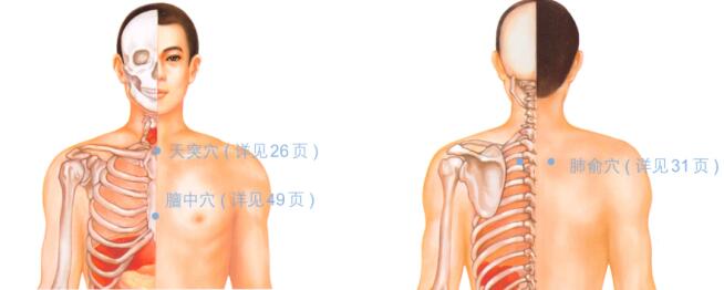 哮喘按摩部位图解
