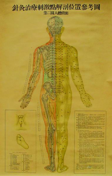针灸治疗刺激点解剖位置参考图