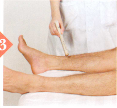 尿道炎艾灸哪个部位图解