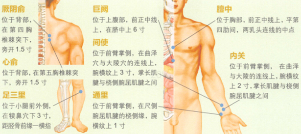 冠心病艾灸哪个部位图解