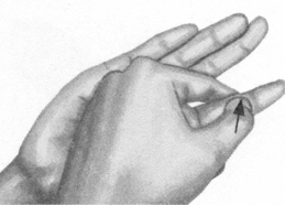 胃肠炎按摩部位图解