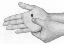 高脂血症按摩部位图解
