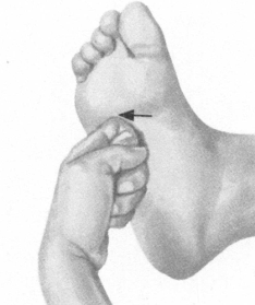 美容美体按摩部位图解