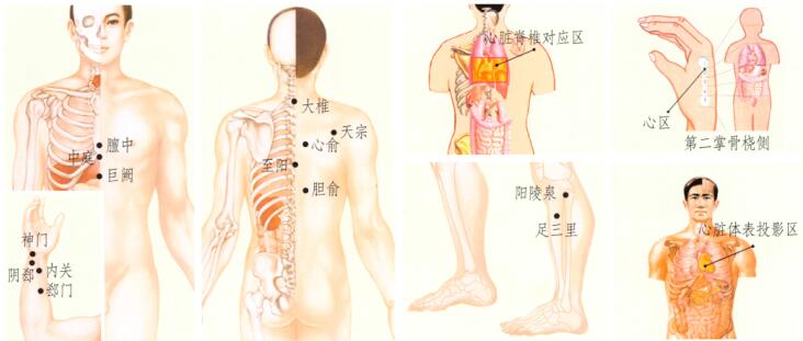 心悸刮痧部位图解