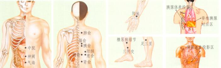 糖尿病刮痧部位图解