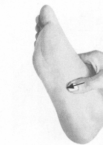 美容美体按摩部位图解