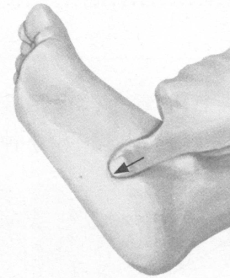 胃肠炎按摩部位图解