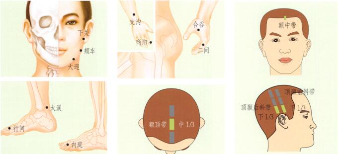 牙痛刮痧部位图解