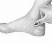 前列腺疾病按摩部位图解