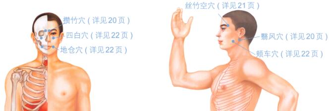 面神经麻痹按摩部位图解