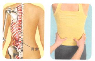 腰背痛按摩部位图解