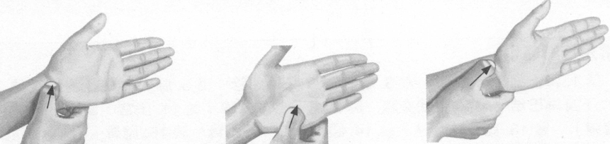 性冷淡按摩部位图解