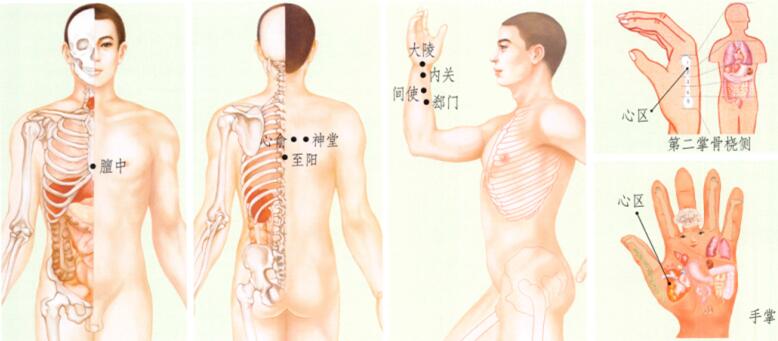 心绞痛刮痧部位图解