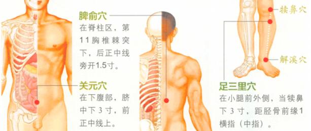 秋季艾灸艾灸哪个部位图解