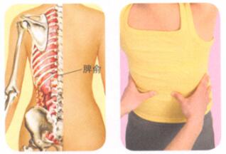 慢性腹泻按摩部位图解