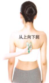 心悸刮痧部位图解