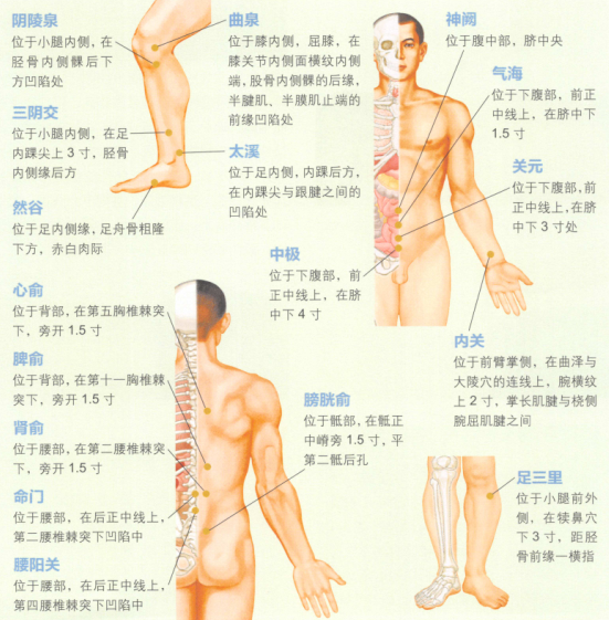 阳痿艾灸哪个部位图解
