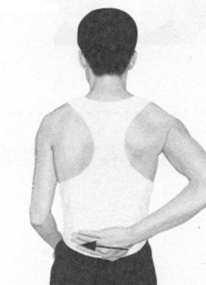 遗精按摩部位图解