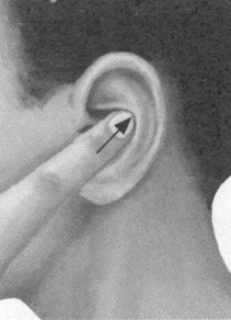 胃肠炎按摩部位图解