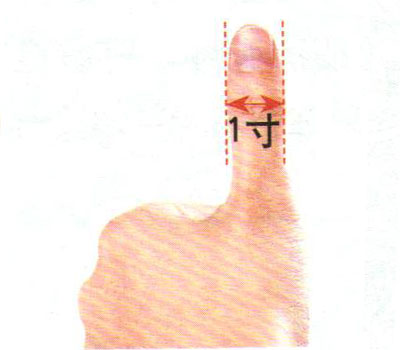 图解常用取穴定位4法