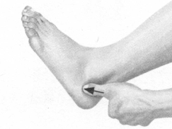 前列腺疾病按摩部位图解