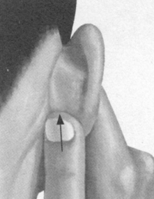 痛经按摩部位图解