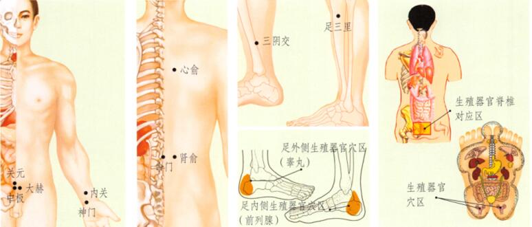遗精刮痧部位图解