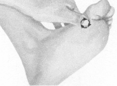 鼻炎按摩部位图解