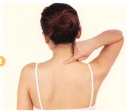 痰湿体质拔罐部位图解