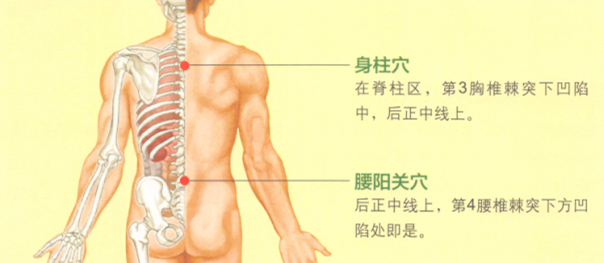 背脊痛艾灸哪个部位图解