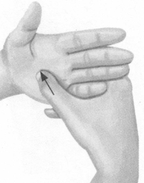 遗精按摩部位图解