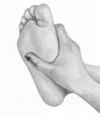 经前期综合征按摩部位图解