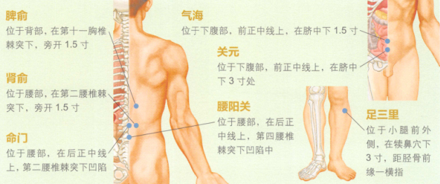 增加免疫力艾灸哪个部位图解