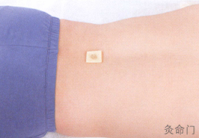 肥胖艾灸哪个部位图解