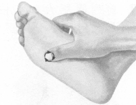 前列腺疾病按摩部位图解