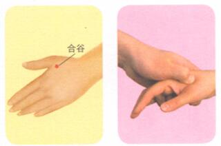 牙痛按摩部位图解