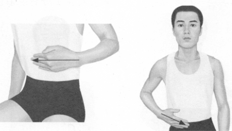 便秘按摩部位图解