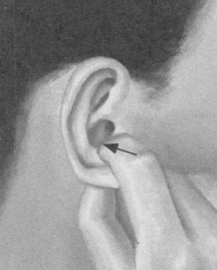 胃肠炎按摩部位图解