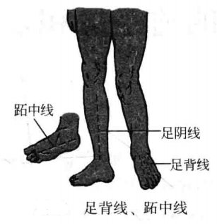 飞针技术足部刺激线