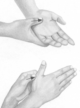 不孕症按摩部位图解