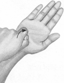 鼻炎按摩部位图解