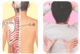 遗精按摩部位图解