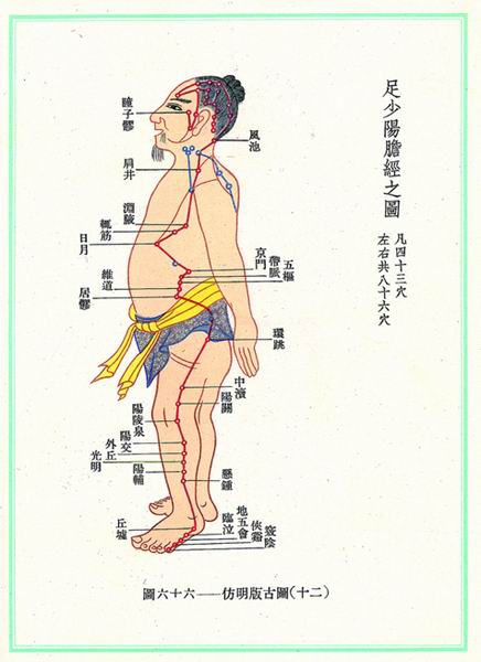 《新针灸学》经穴图