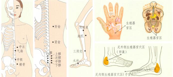 痛经刮痧部位图解
